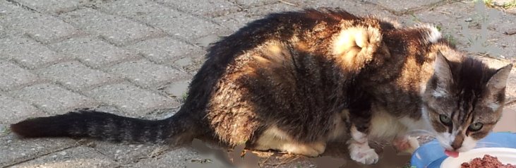 Emma in loving memory