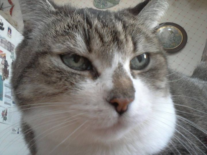 Emma in loving memory