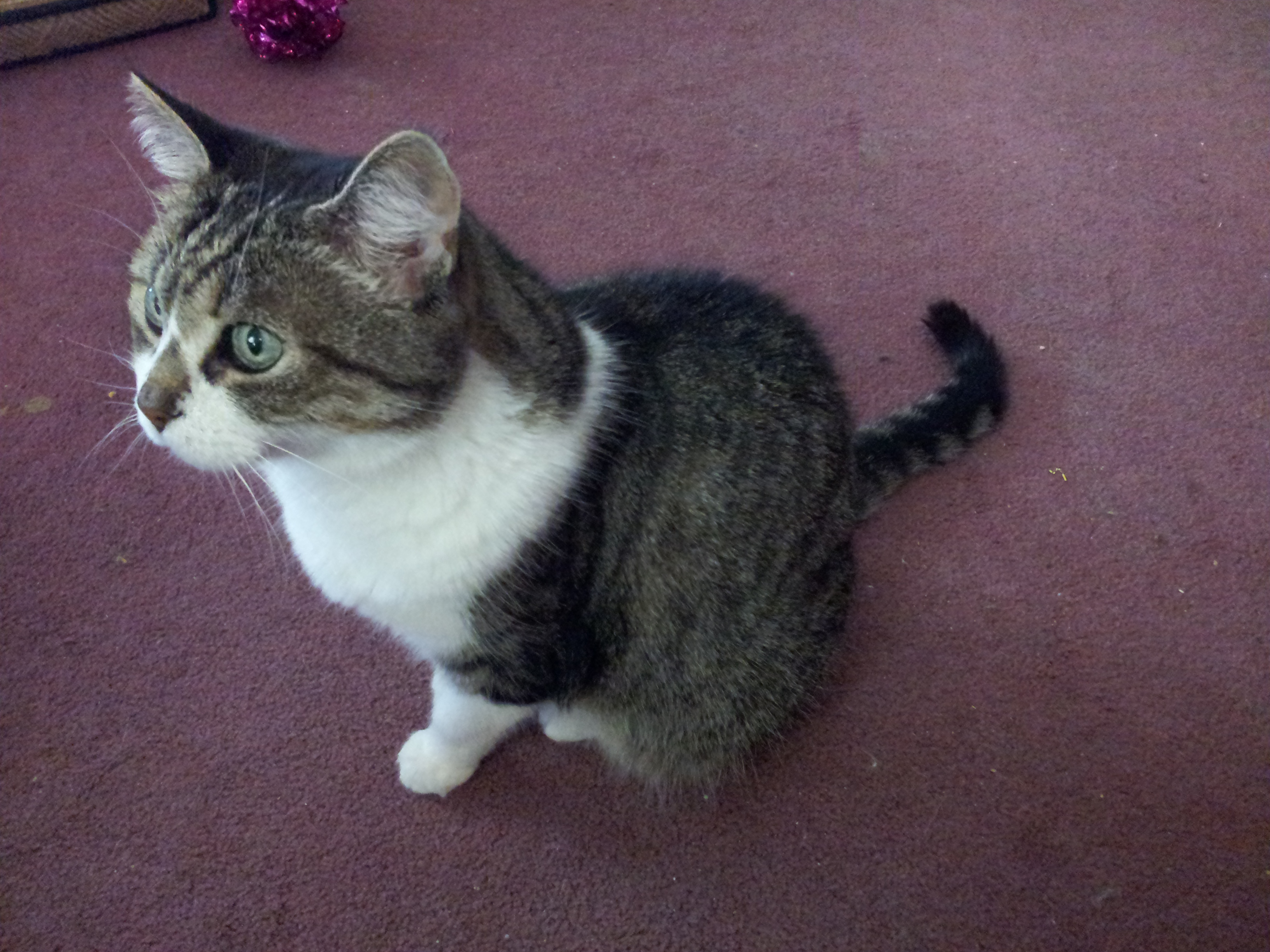 Emma in loving memory