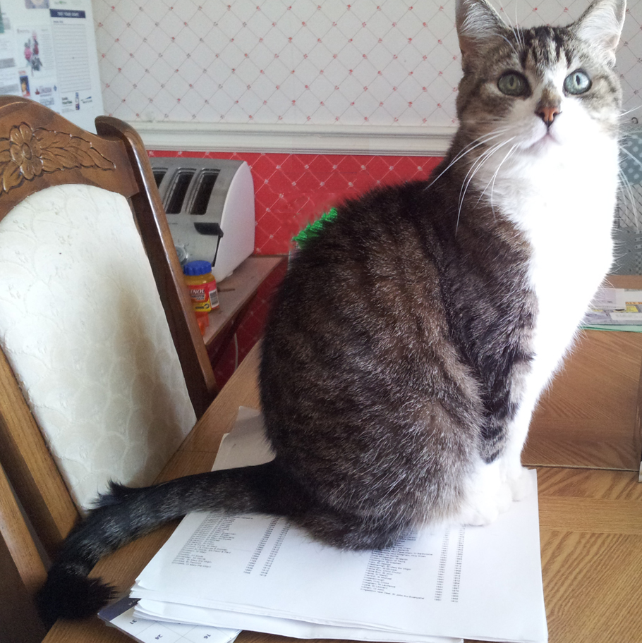 Emma in loving memory