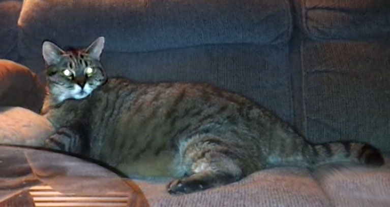 Heidi in loving memory