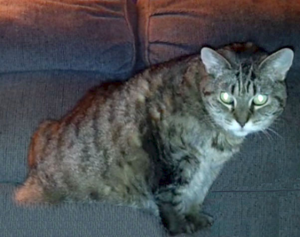 Heidi in loving memory