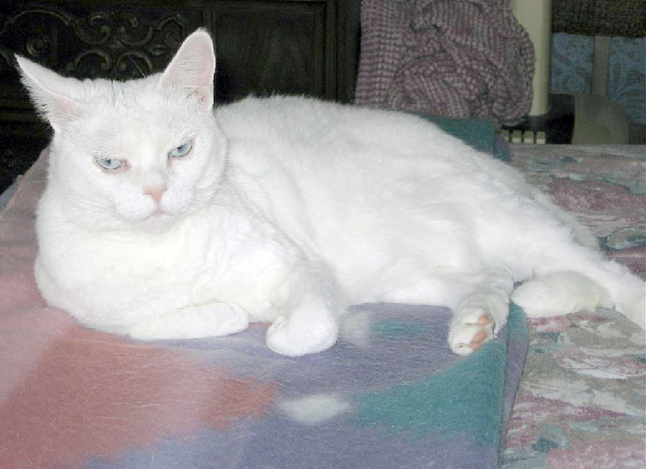 Sarah in loving memory