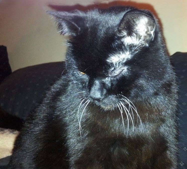 Shadow in loving memory