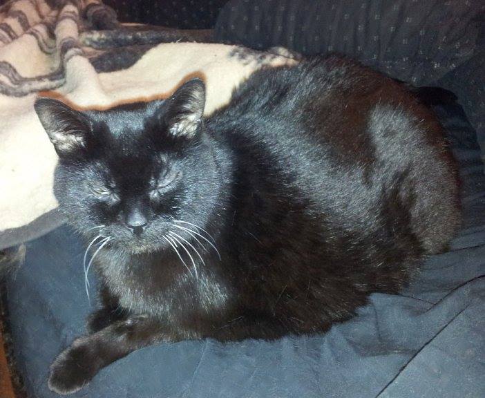 Shadow in loving memory