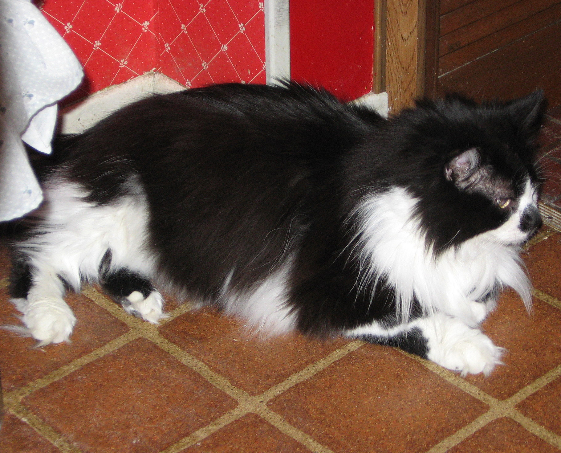 Tyrone in loving memory