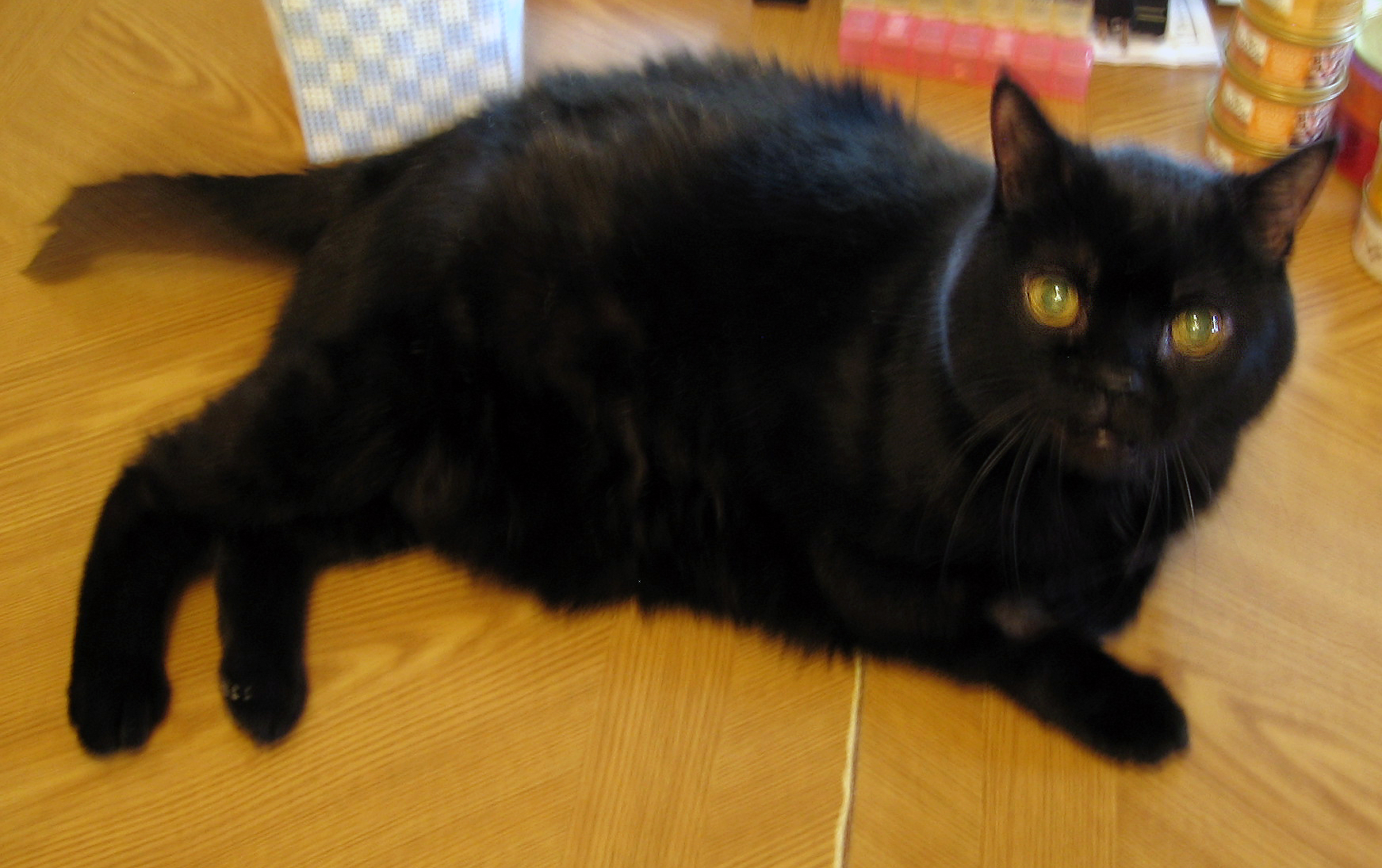 Zachary in loving memory