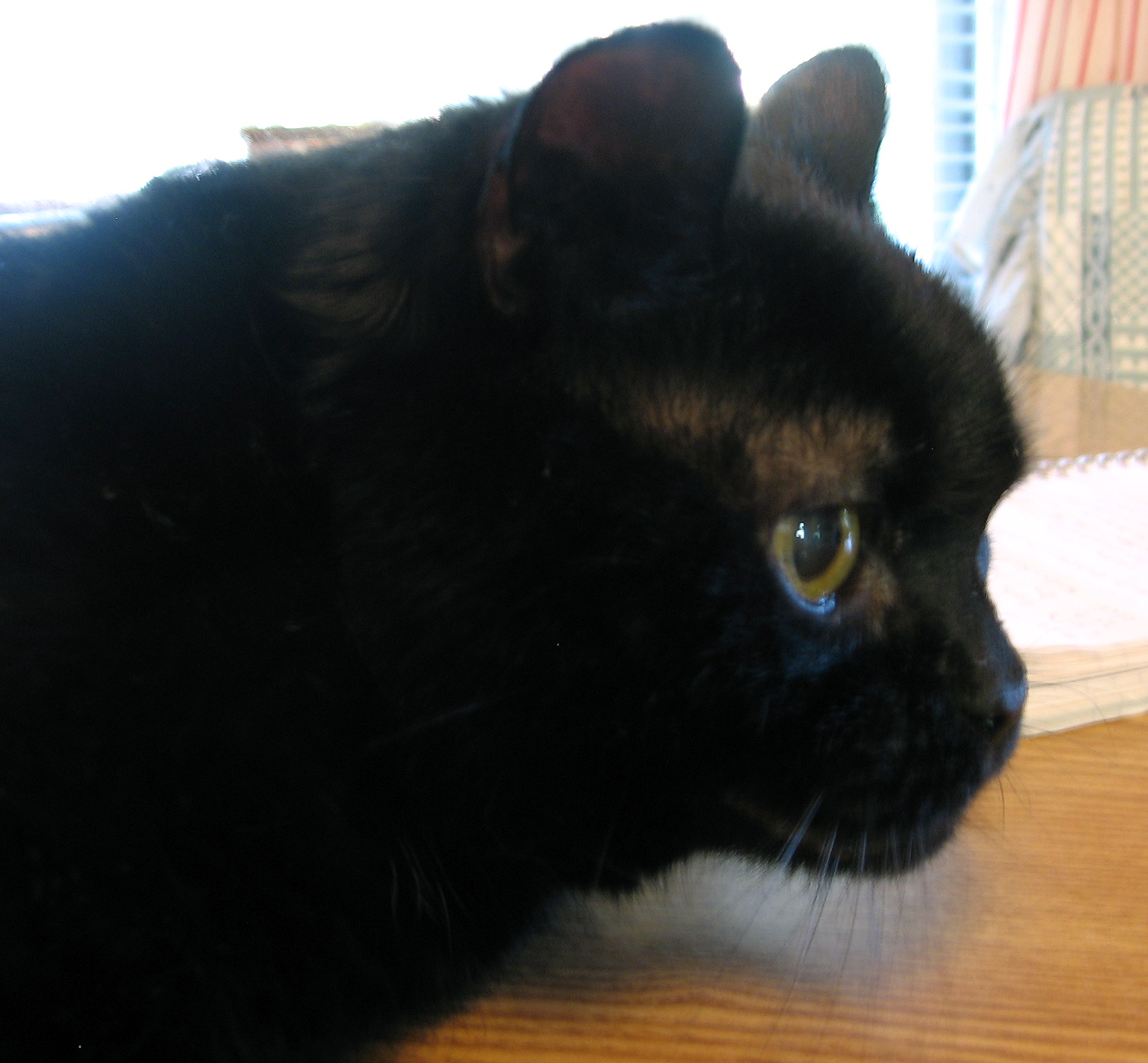 Zachary in loving memory