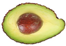 foods that are toxic to your pet