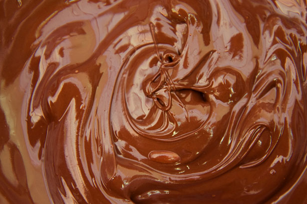 foods that are toxic to your pet