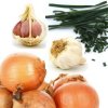 foods that are toxic to your pet
