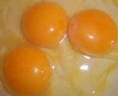 foods that are toxic to your pet