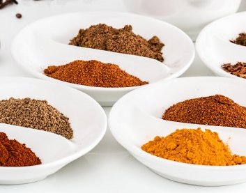 foods that are toxic to your pet