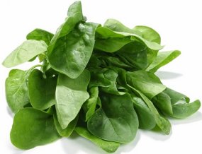 foods that are toxic to your pet