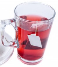 foods that are toxic to your pet